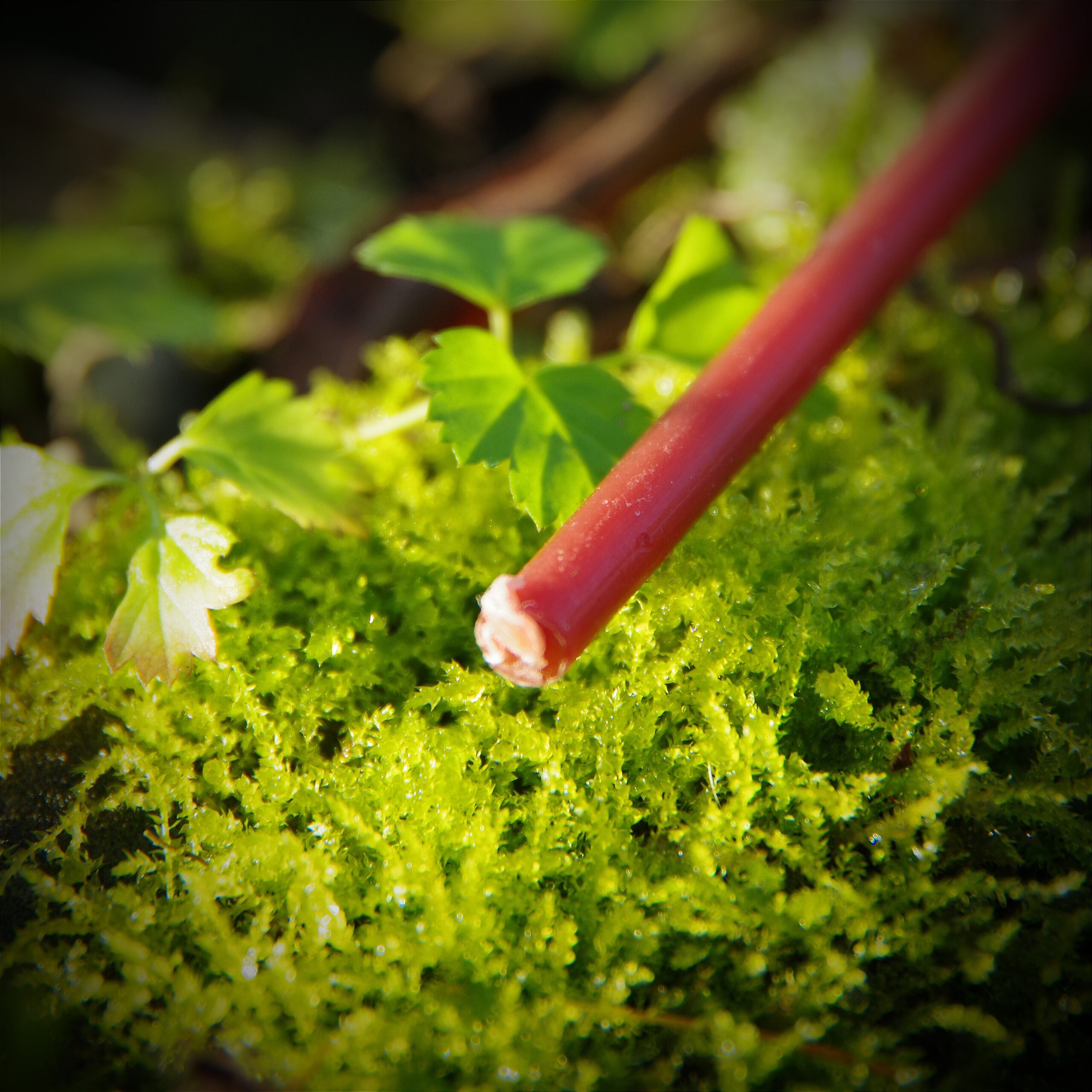 Świece rytualne z wosku pszczelego - obrazek 6