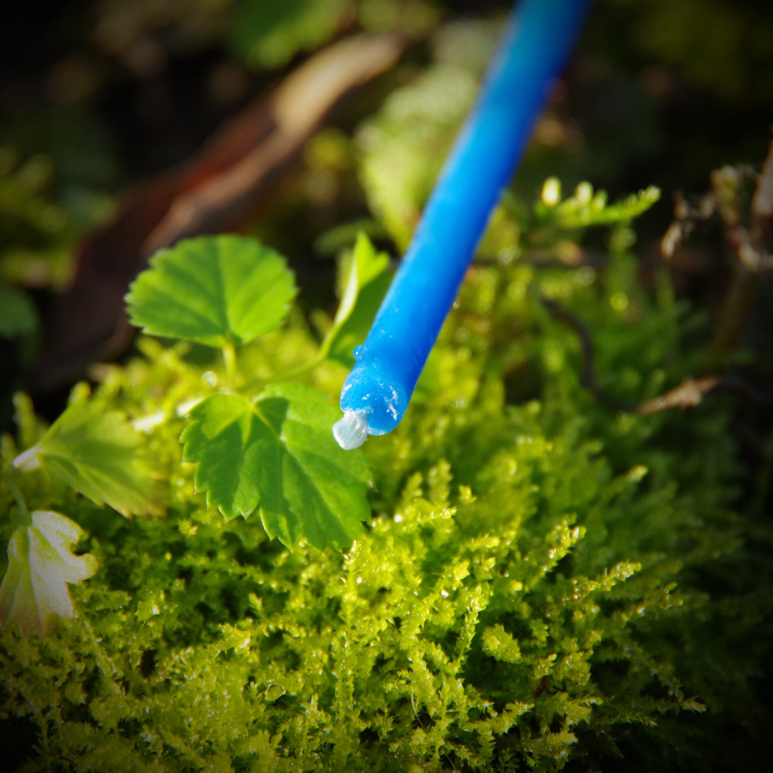 Świece rytualne z wosku pszczelego - obrazek 7