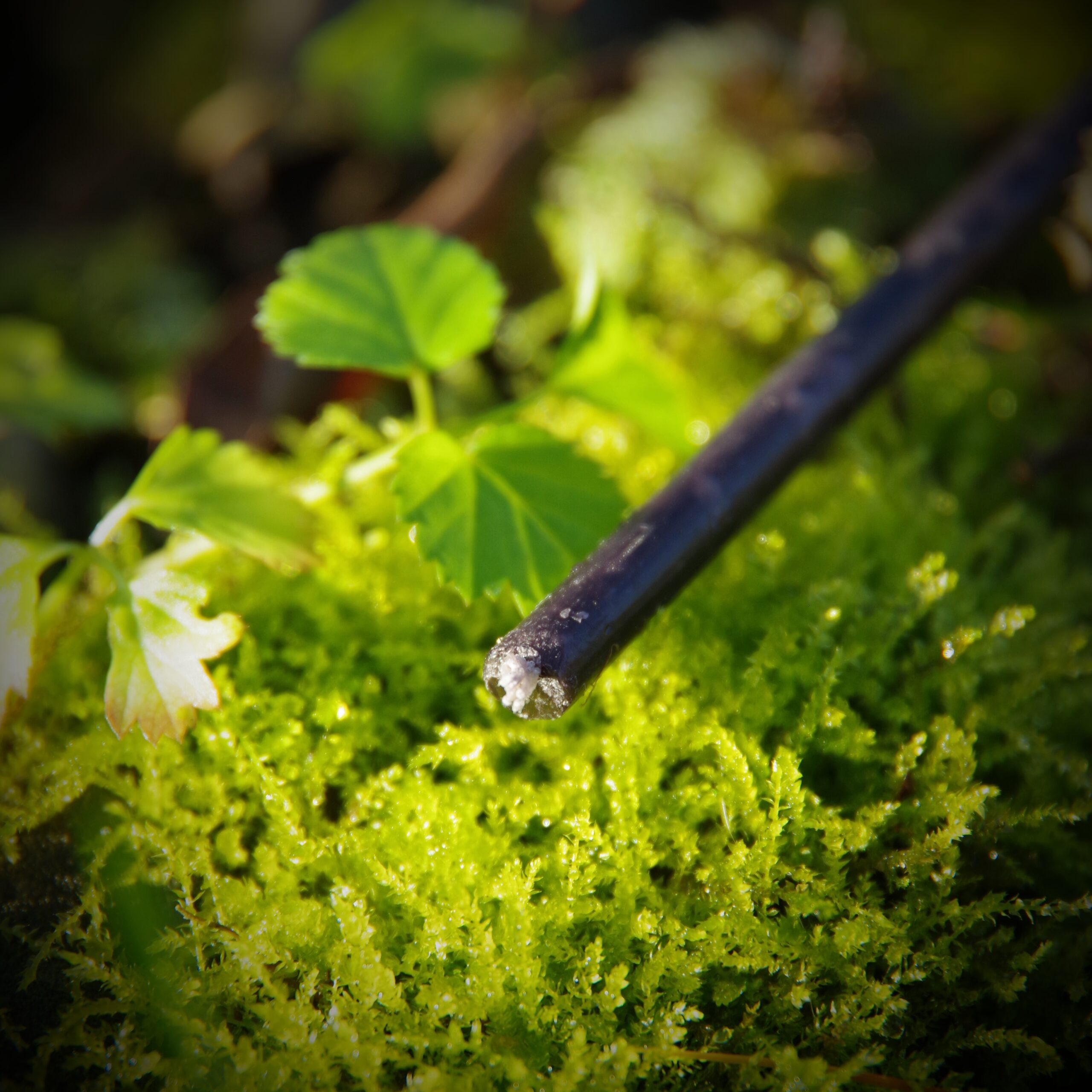 Świece rytualne z wosku pszczelego - obrazek 11