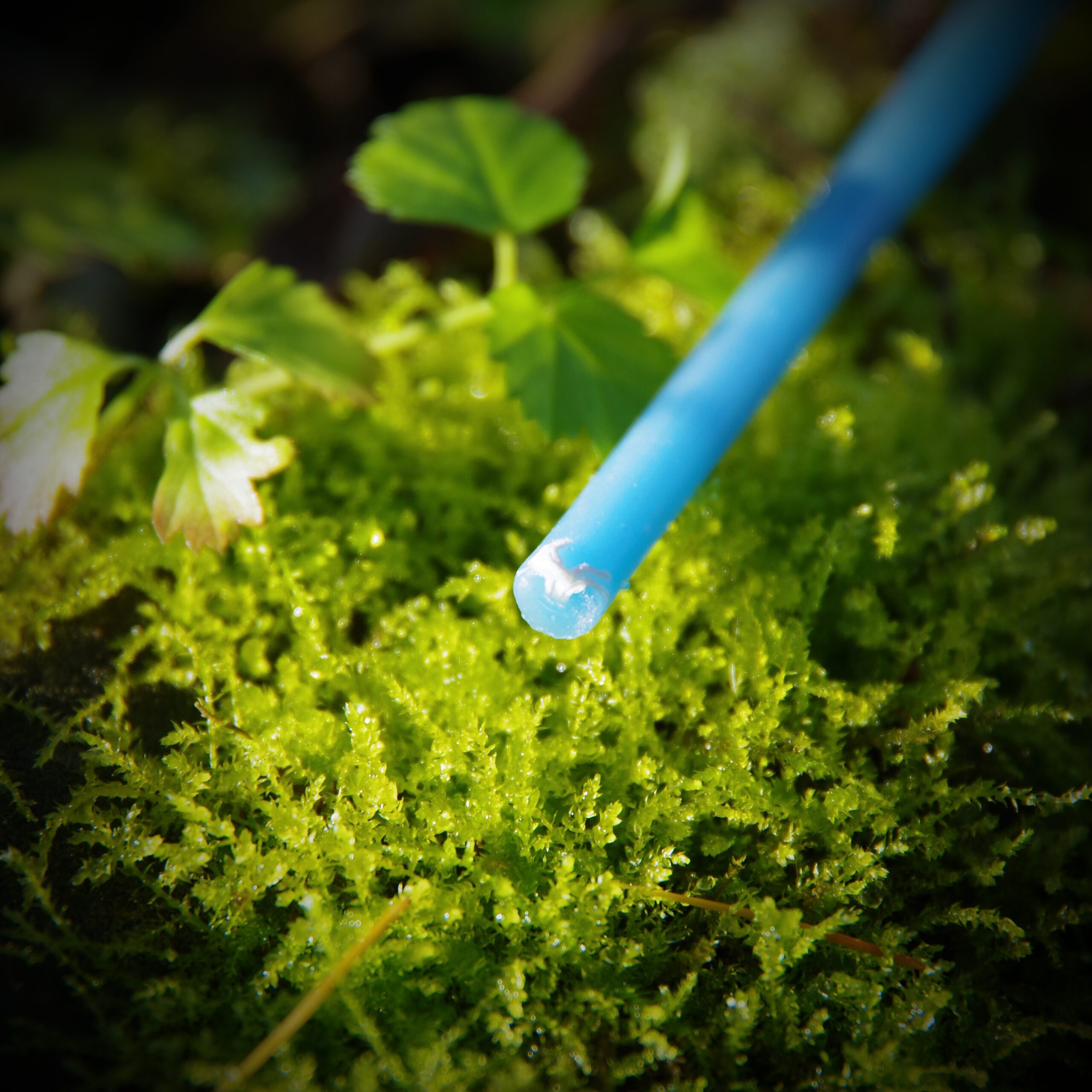 Świece rytualne z wosku pszczelego - obrazek 12