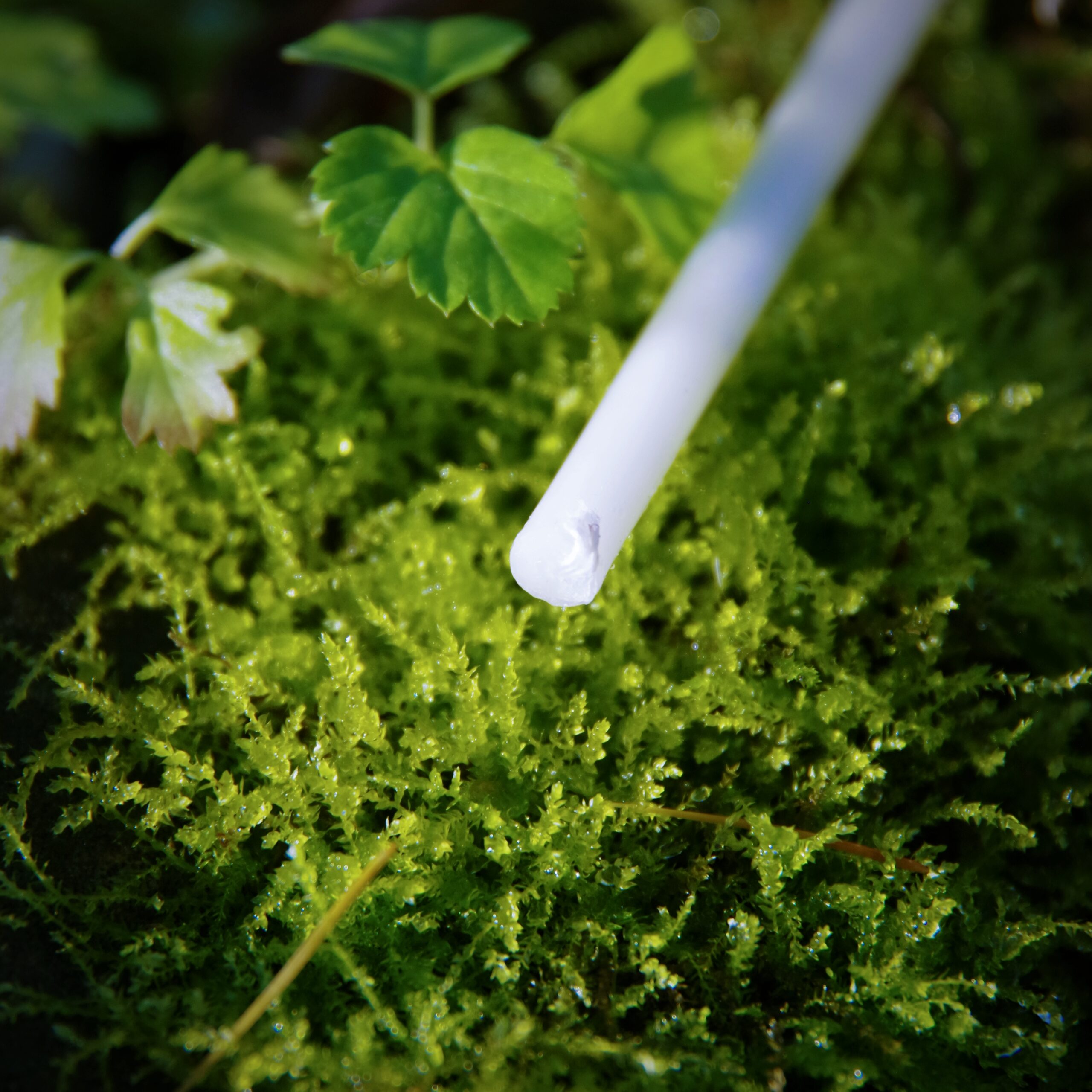 Świece rytualne z wosku pszczelego - obrazek 15