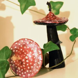 Muchomor Czarny – Ochrona przed Wampirami Energetycznymi