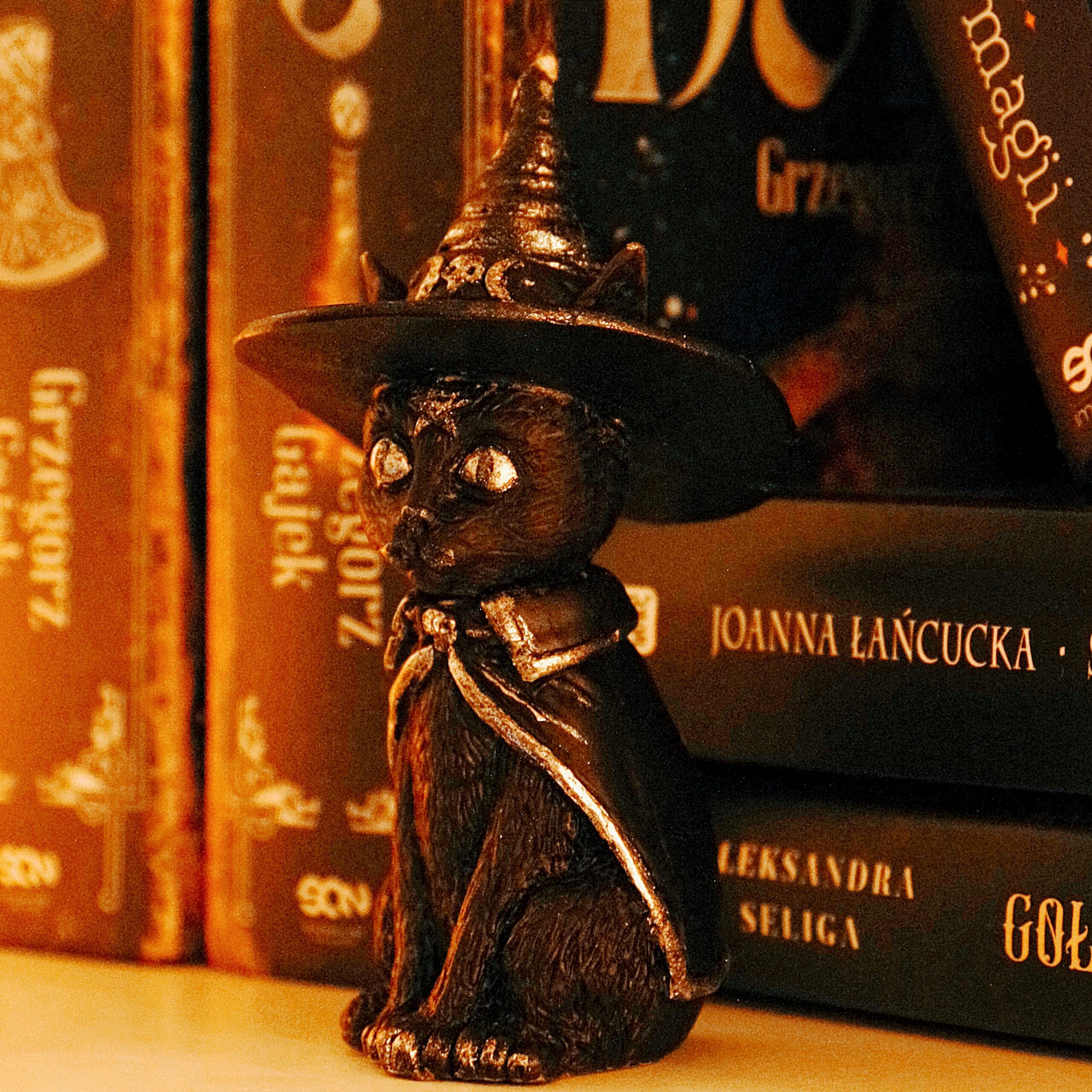 Czarny Kot – Intuicja, Ochrona i Uważność - obrazek 3