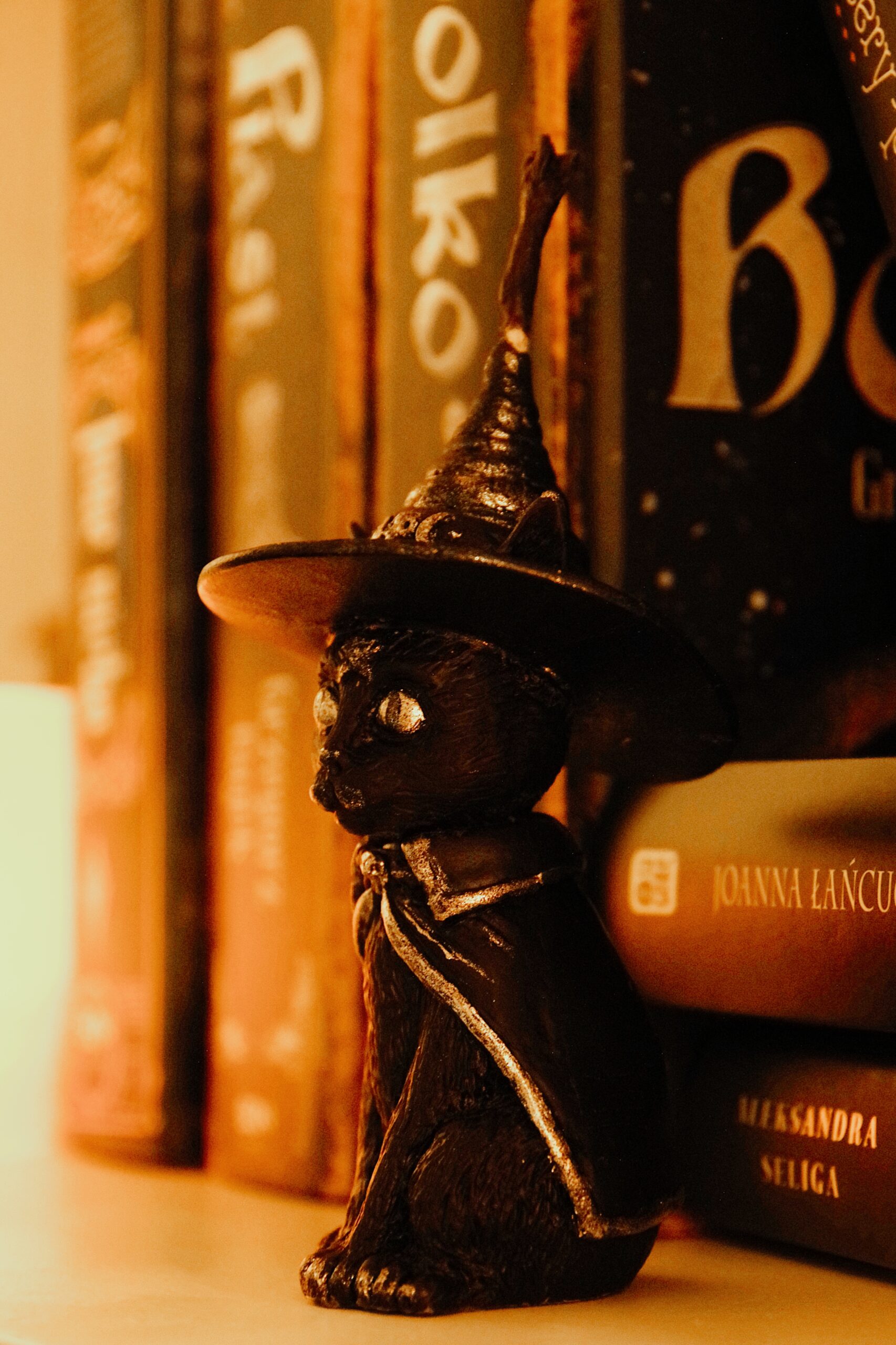 Czarny Kot – Intuicja, Ochrona i Uważność - obrazek 4