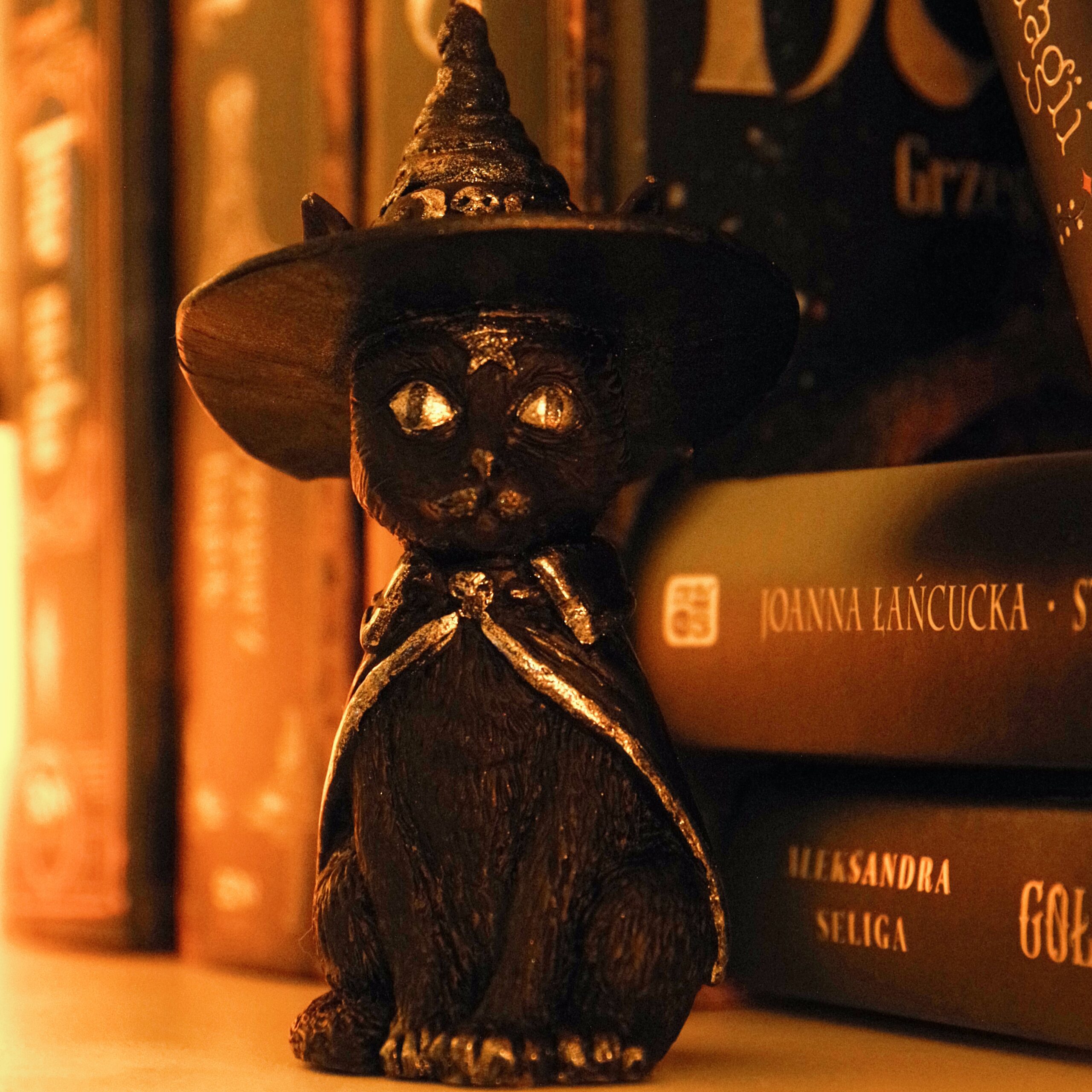 Czarny Kot – Intuicja, Ochrona i Uważność - obrazek 5