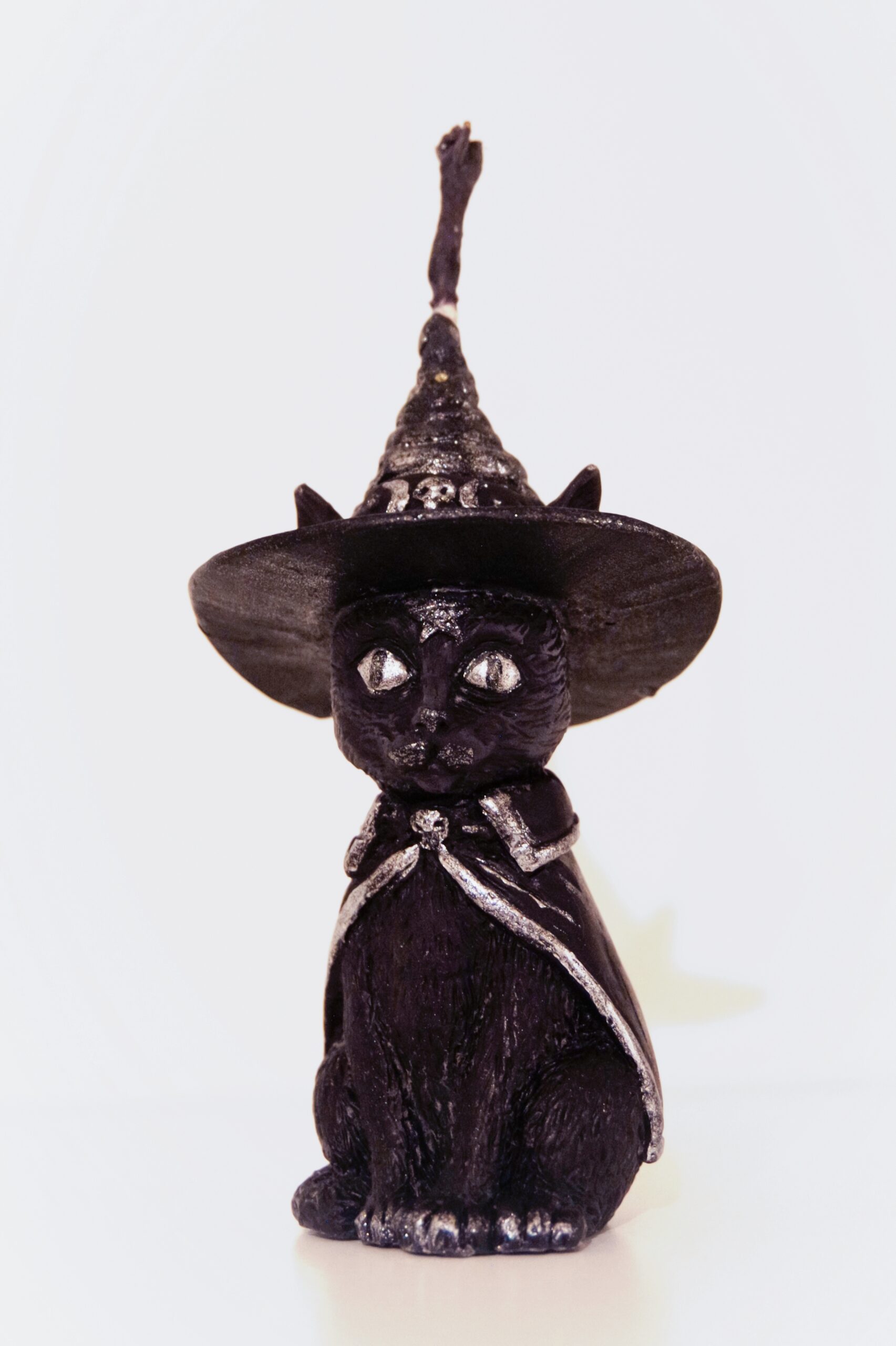 Czarny Kot – Intuicja, Ochrona i Uważność - obrazek 2