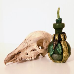 Zielona Butelka – Ochrona Finansów i Dóbr Materialnych